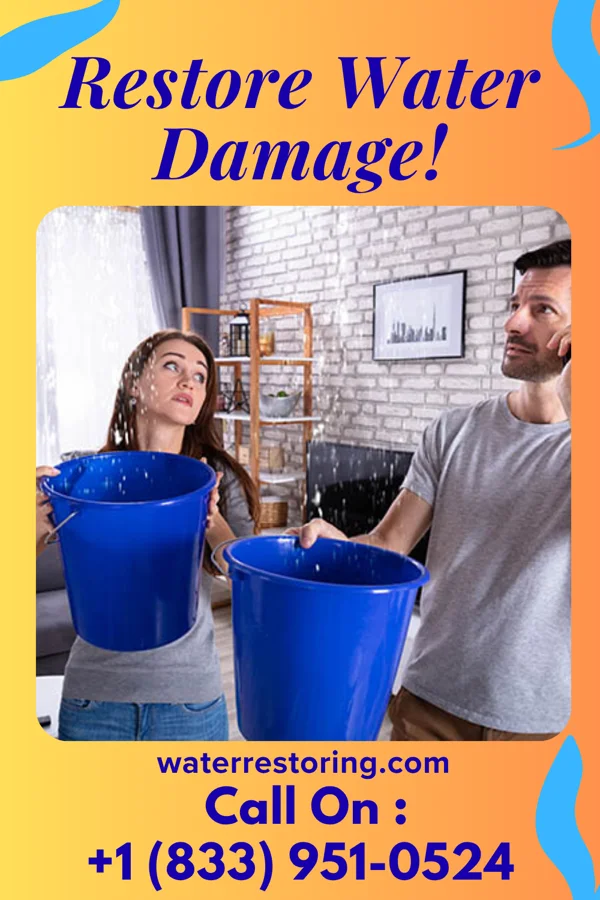 water restoration Prestige Disaster Cleanup LLC Irondale