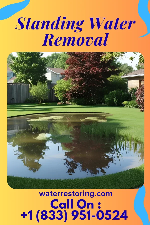 Standing Water Removal in Irondale, OH